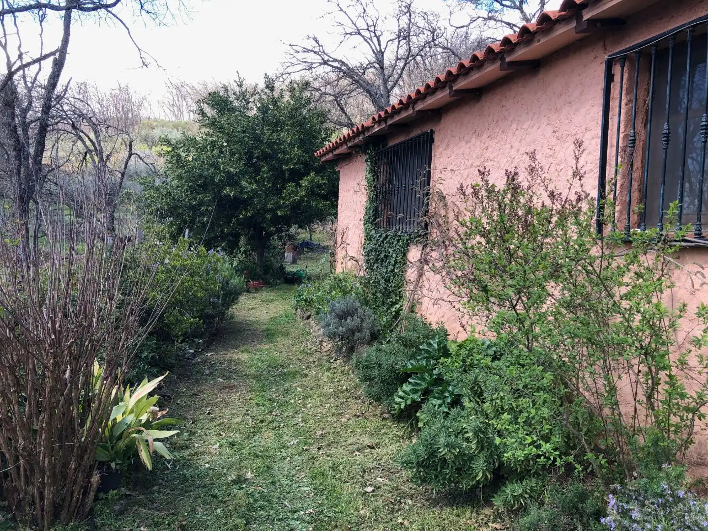 Finca rústica en venta en Calle Ronda Norte, 4, Losar de la Vera Jardín de Finca rústica en venta en Losar de la Vera