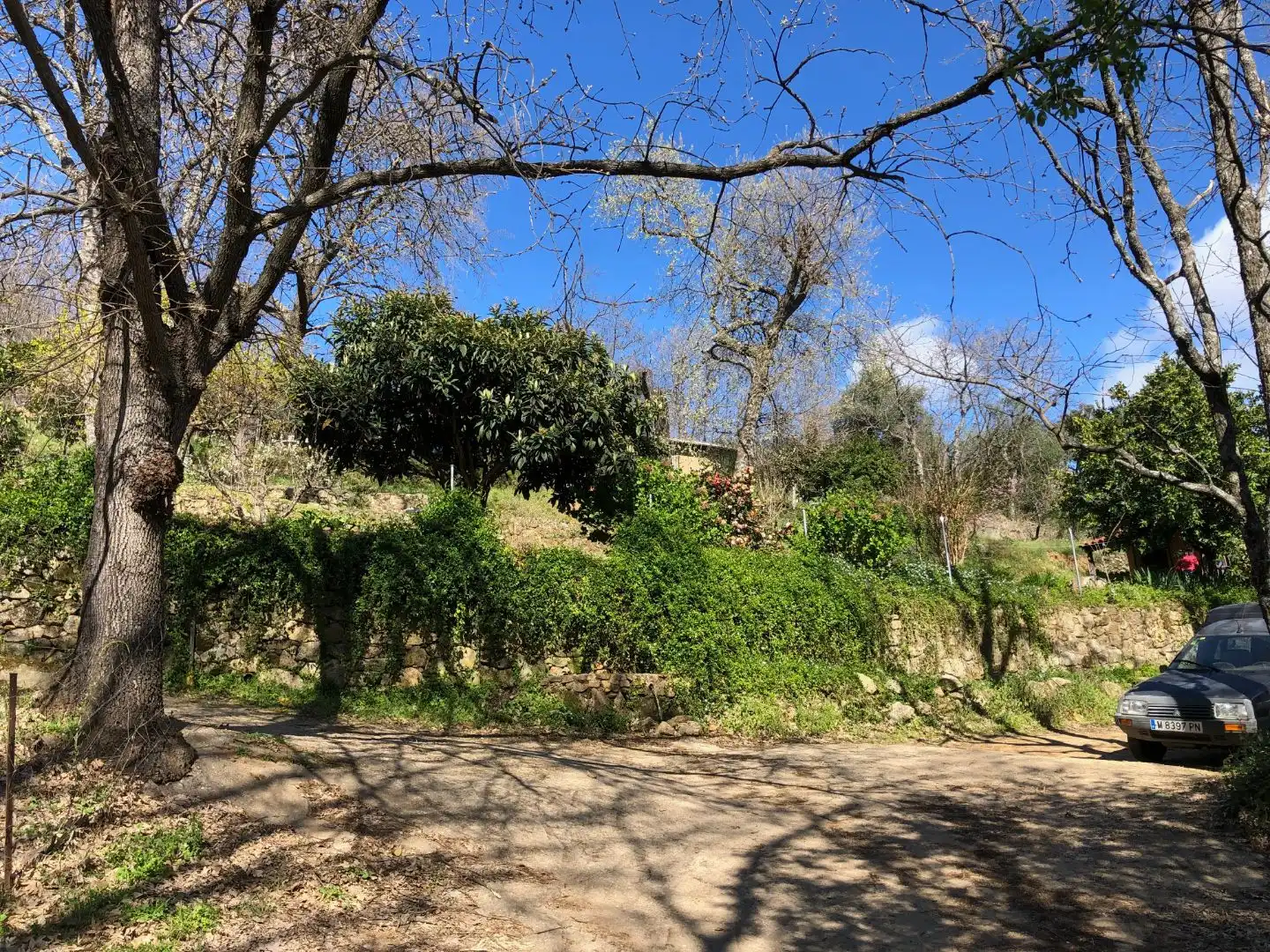 Finca rústica en venta en Calle Ronda Norte, 4, Losar de la Vera Finca rústica en venta en Losar de la Vera