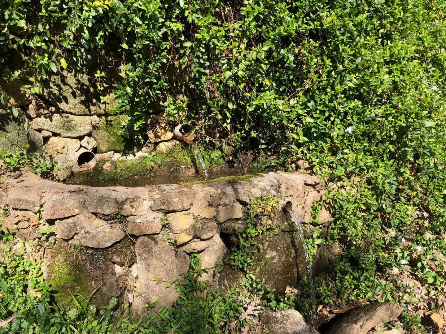 Finca rústica en venta en Calle Ronda Norte, 4, Losar de la Vera Jardín de Finca rústica en venta en Losar de la Vera
