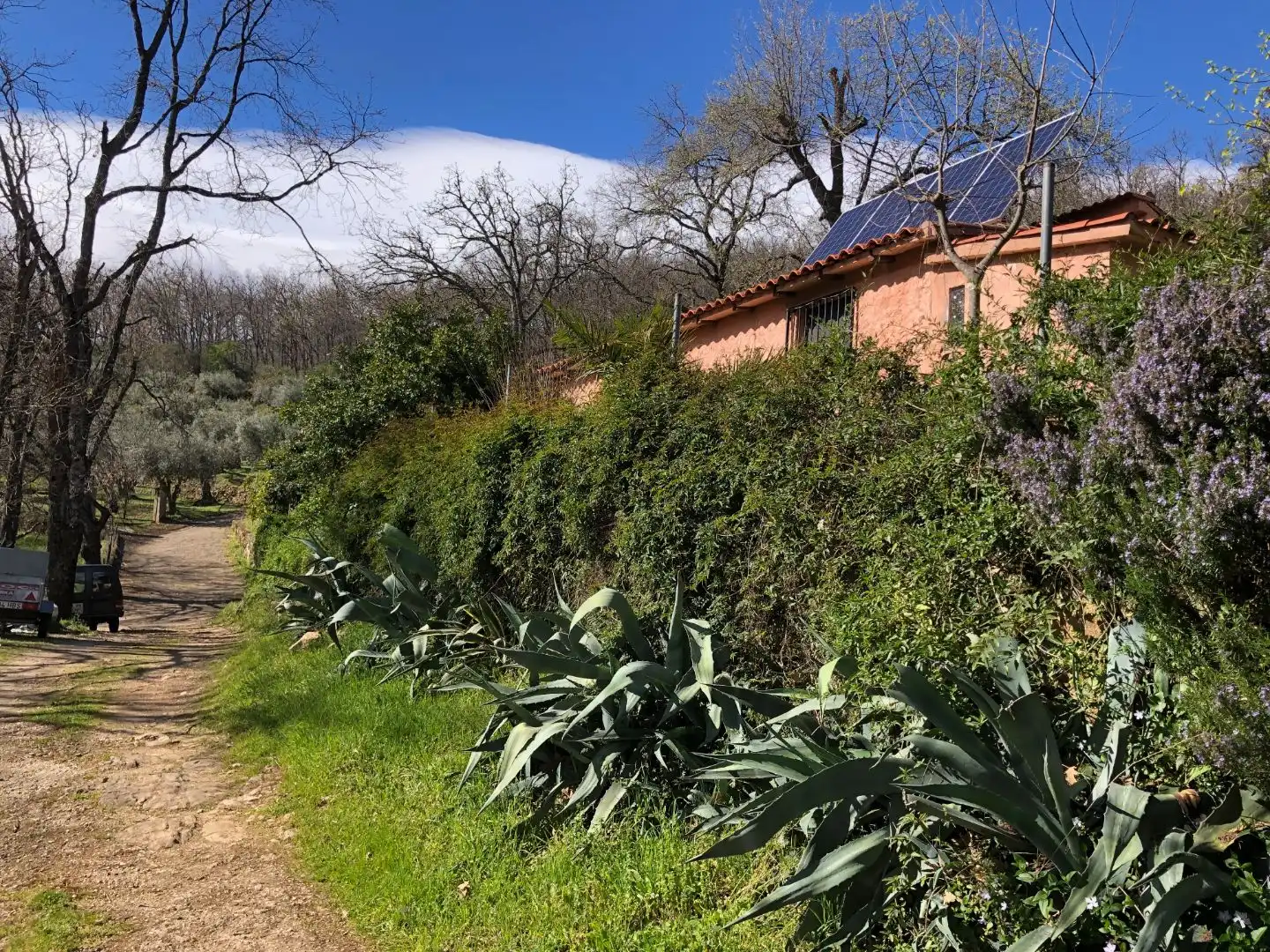 Finca rústica en venta en Calle Ronda Norte, 4, Losar de la Vera Jardín de Finca rústica en venta en Losar de la Vera