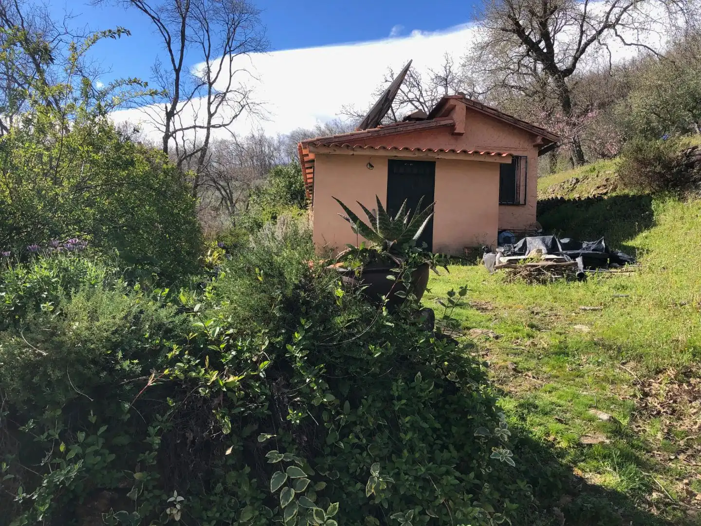 Finca rústica en venta en Calle Ronda Norte, 4, Losar de la Vera Jardín de Finca rústica en venta en Losar de la Vera