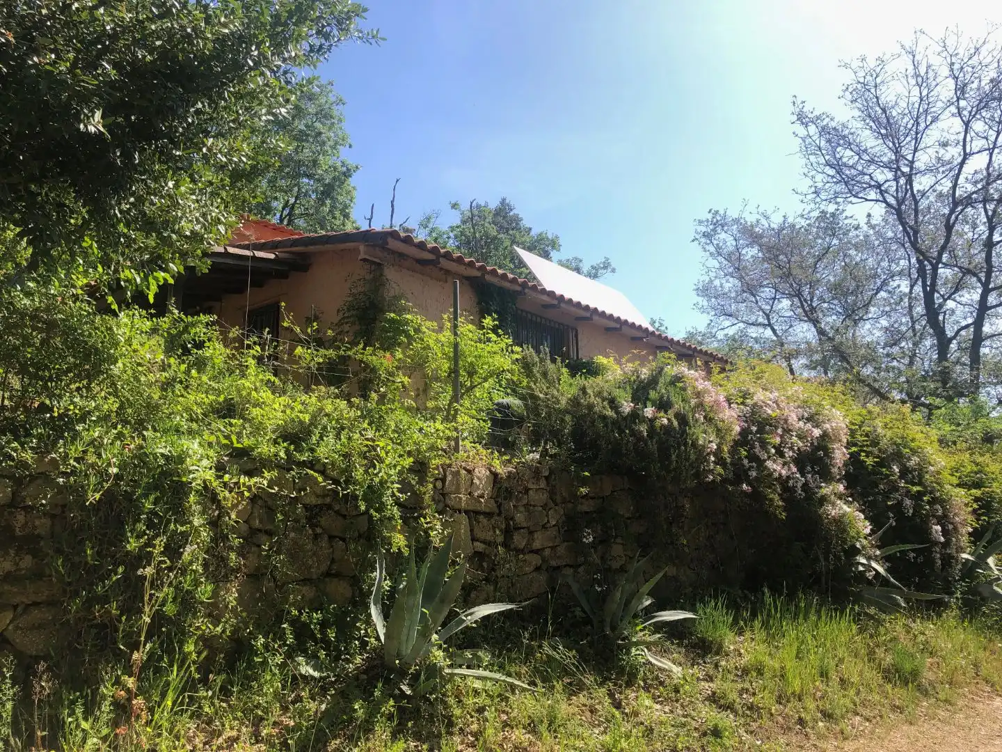 Finca rústica en venta en Calle Ronda Norte, 4, Losar de la Vera Vista exterior de Finca rústica en venta en Losar de la Vera