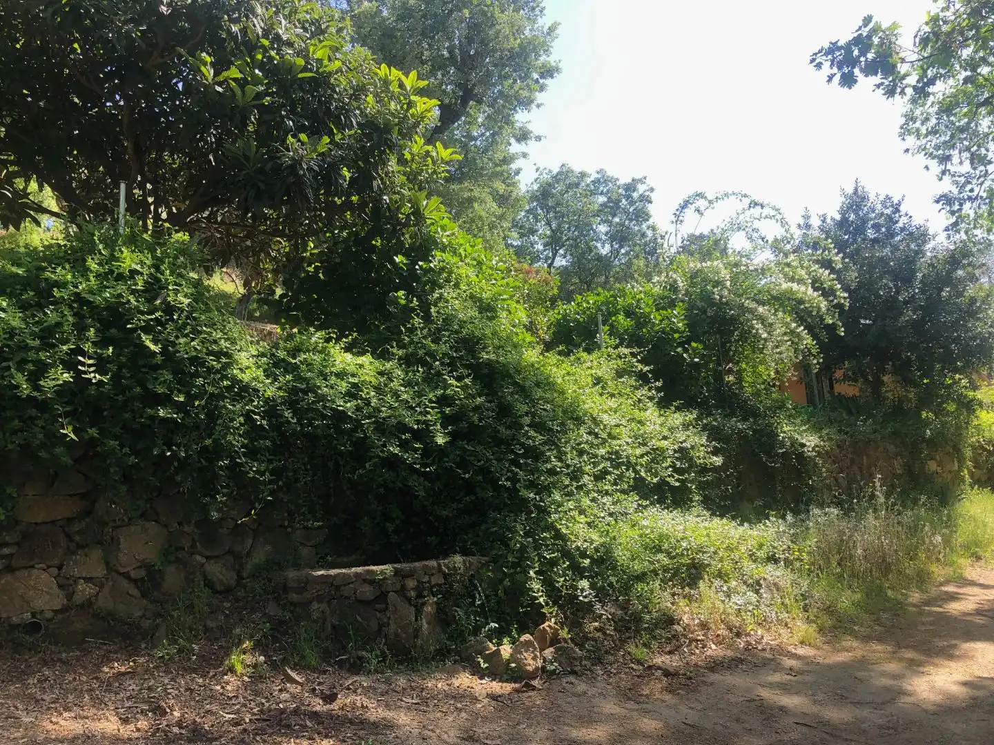 Finca rústica en venta en Calle Ronda Norte, 4, Losar de la Vera Finca rústica en venta en Losar de la Vera