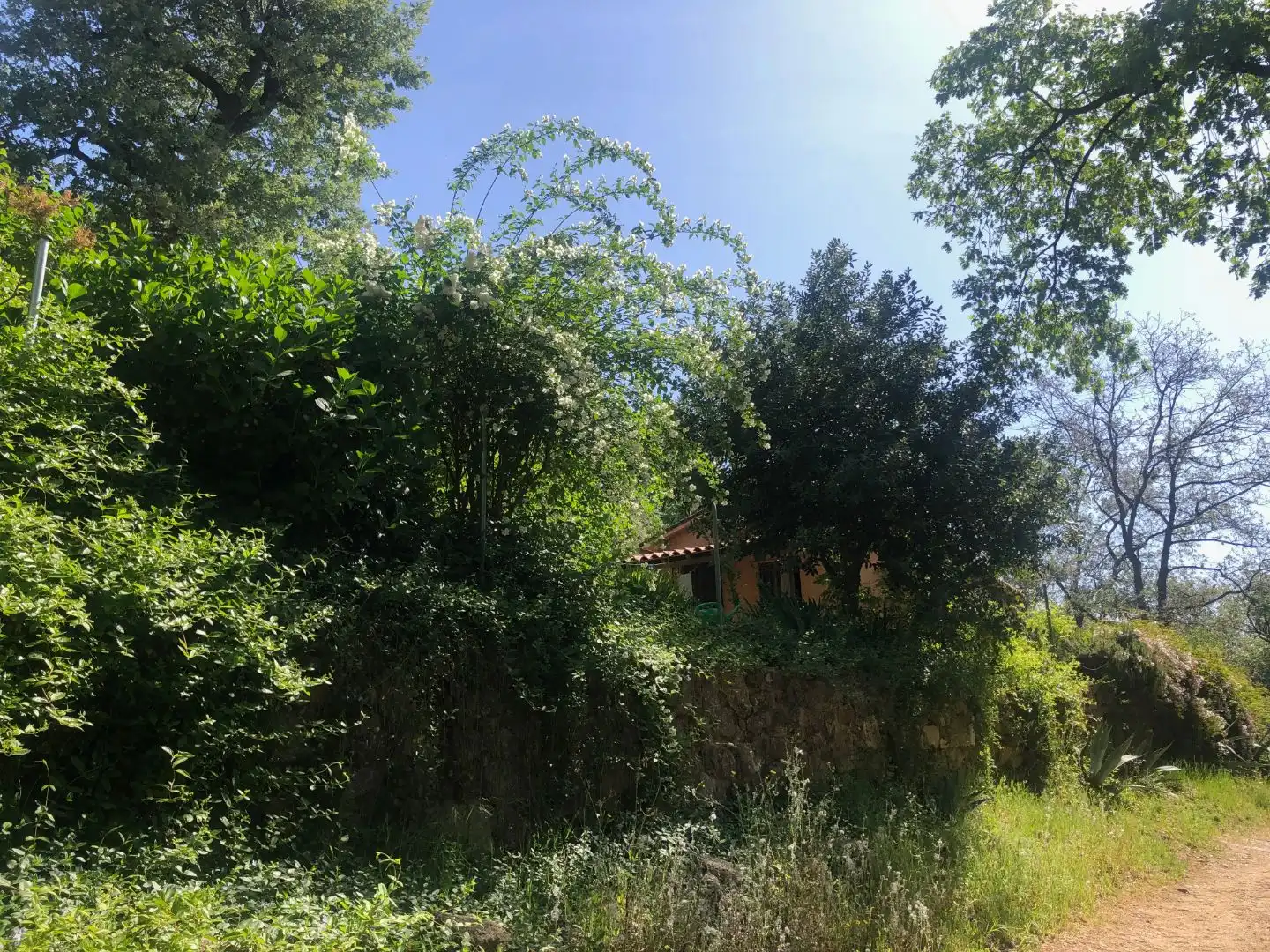 Finca rústica en venta en Calle Ronda Norte, 4, Losar de la Vera Finca rústica en venta en Losar de la Vera