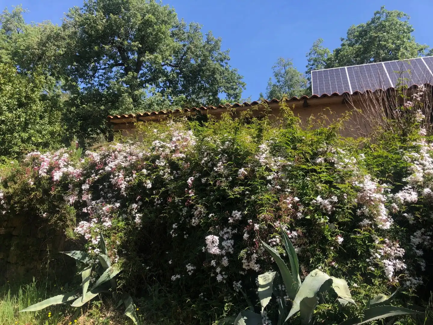 Finca rústica en venta en Calle Ronda Norte, 4, Losar de la Vera Jardín de Finca rústica en venta en Losar de la Vera