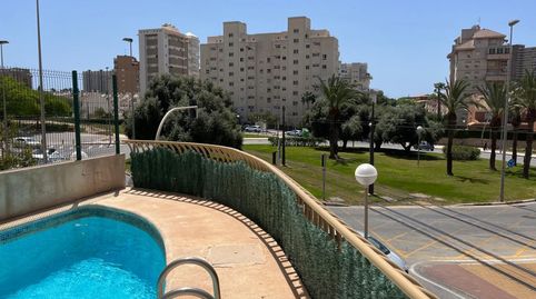 Piso de alquiler en Calle Pedro Ferrándiz, 4, Cabo de las Huertas, Alicante / Alacant - imagen 4 Foto 4 de Piso de alquiler en Calle Pedro Ferrándiz, 4, Cabo de las Huertas, Alicante / Alacant