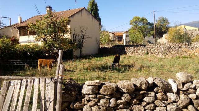 Terreno en Venta en Calle de la Iglesia, 2 en Pinilla del Valle