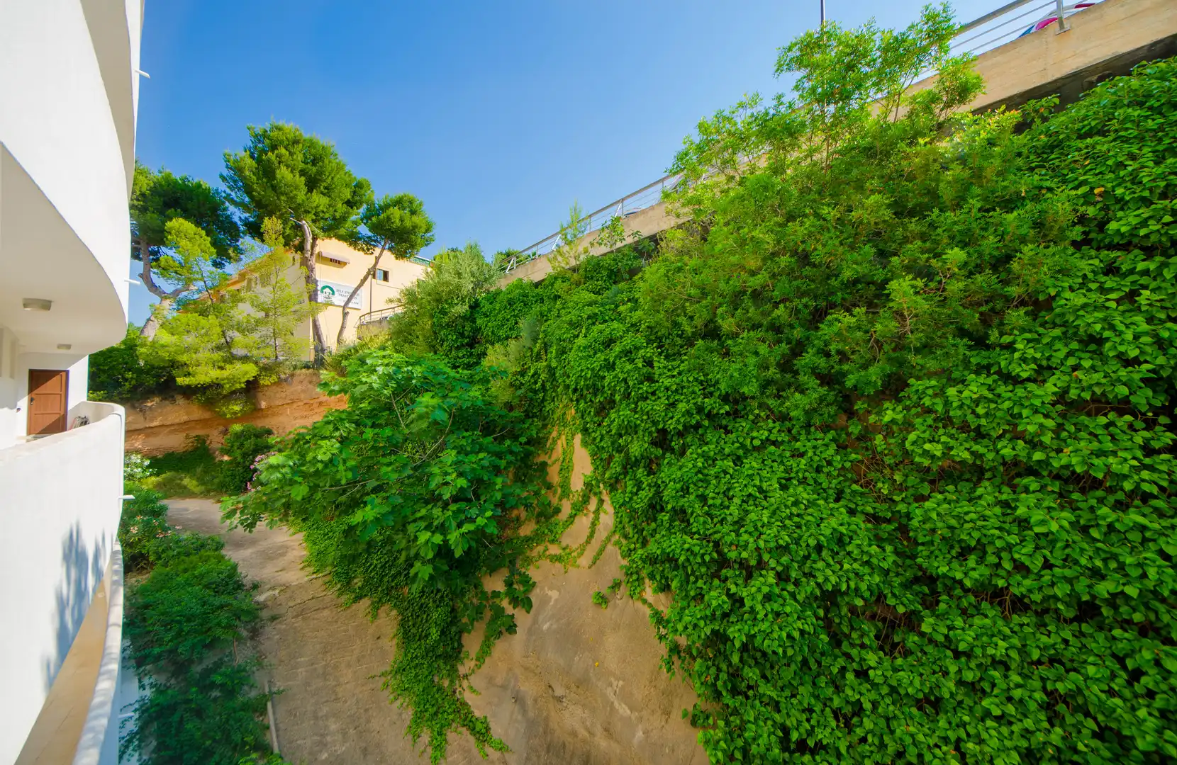 Pis de lloguer a Carrer de Ramon de Montcada, 8, Costa de la Calma Jardí de Pis de lloguer en Calvià amb Aire condicionat, Parquet i Terrassa