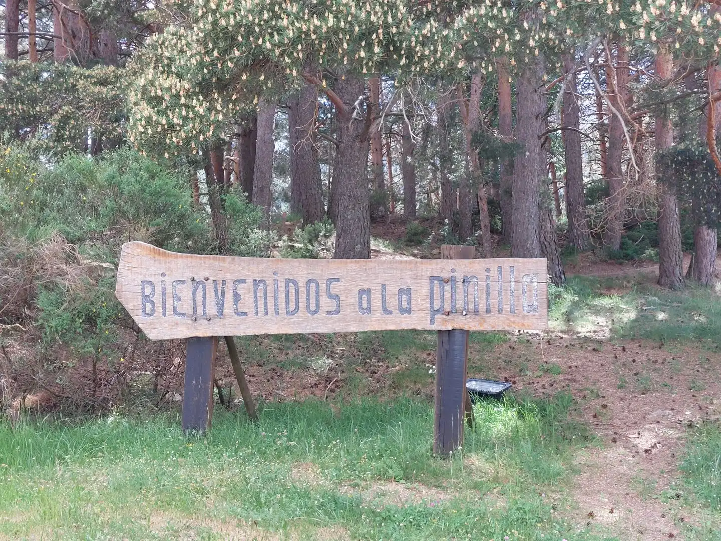 Flat for sale in Calle Edificio Alamo, 1, Cerezo de Arriba Garden of Flat for sale in Cerezo de Arriba with Heating, Furnished and Community parking