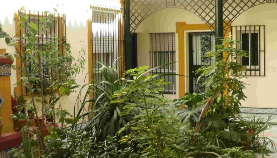 Piso de alquiler en Calle Santa Rufina, 16, Feria, Sevilla Capital - imagen 1 Foto 1 de Piso de alquiler en Calle Santa Rufina, 16, Feria, Sevilla Capital