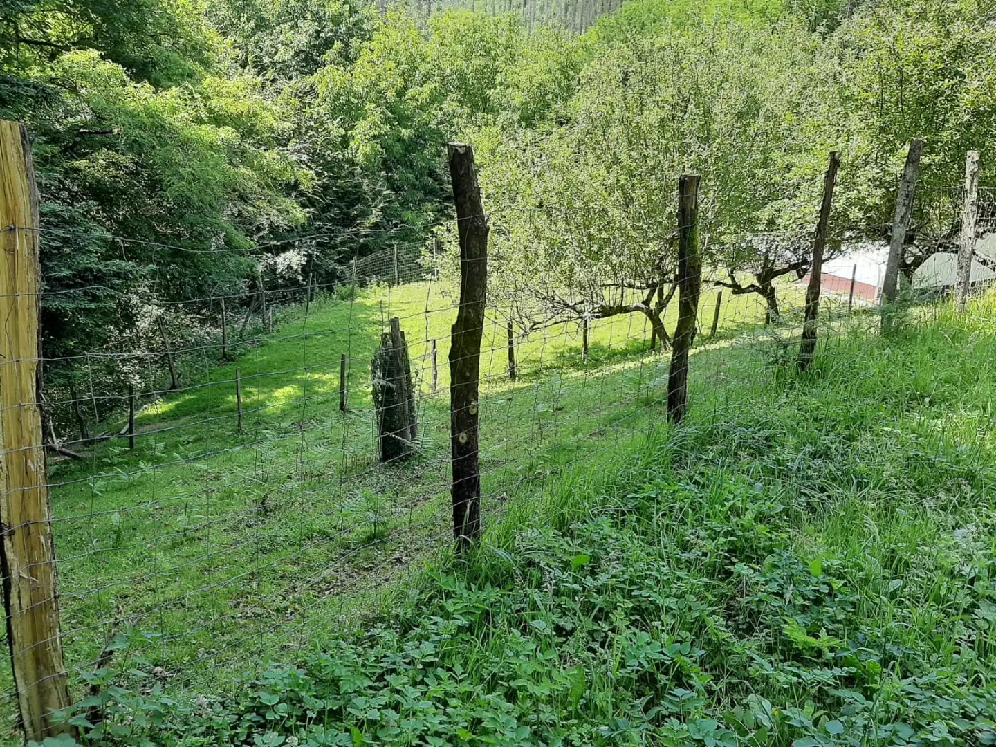Terreno en venta en Koate Auzoa, 16, Legorreta Terreno en venta en Legorreta