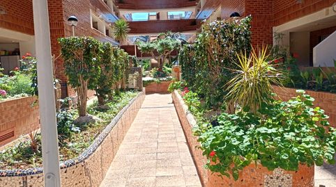 Flat for rent in Carrer de la Pinada, 5, Playa Coral -Torremar, Oropesa del Mar / Orpesa - image 2 Photo 2 of Flat for rent in Carrer de la Pinada, 5, Playa Coral -Torremar, Oropesa del Mar / Orpesa