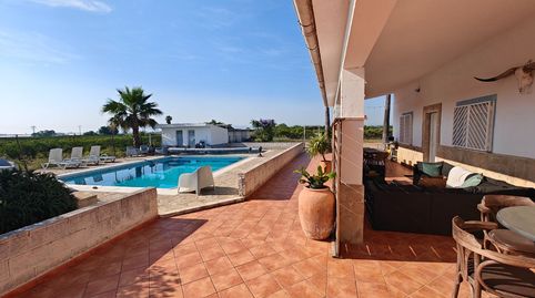 Foto 3 de Finca rústica en venta en Algemesí, Valencia