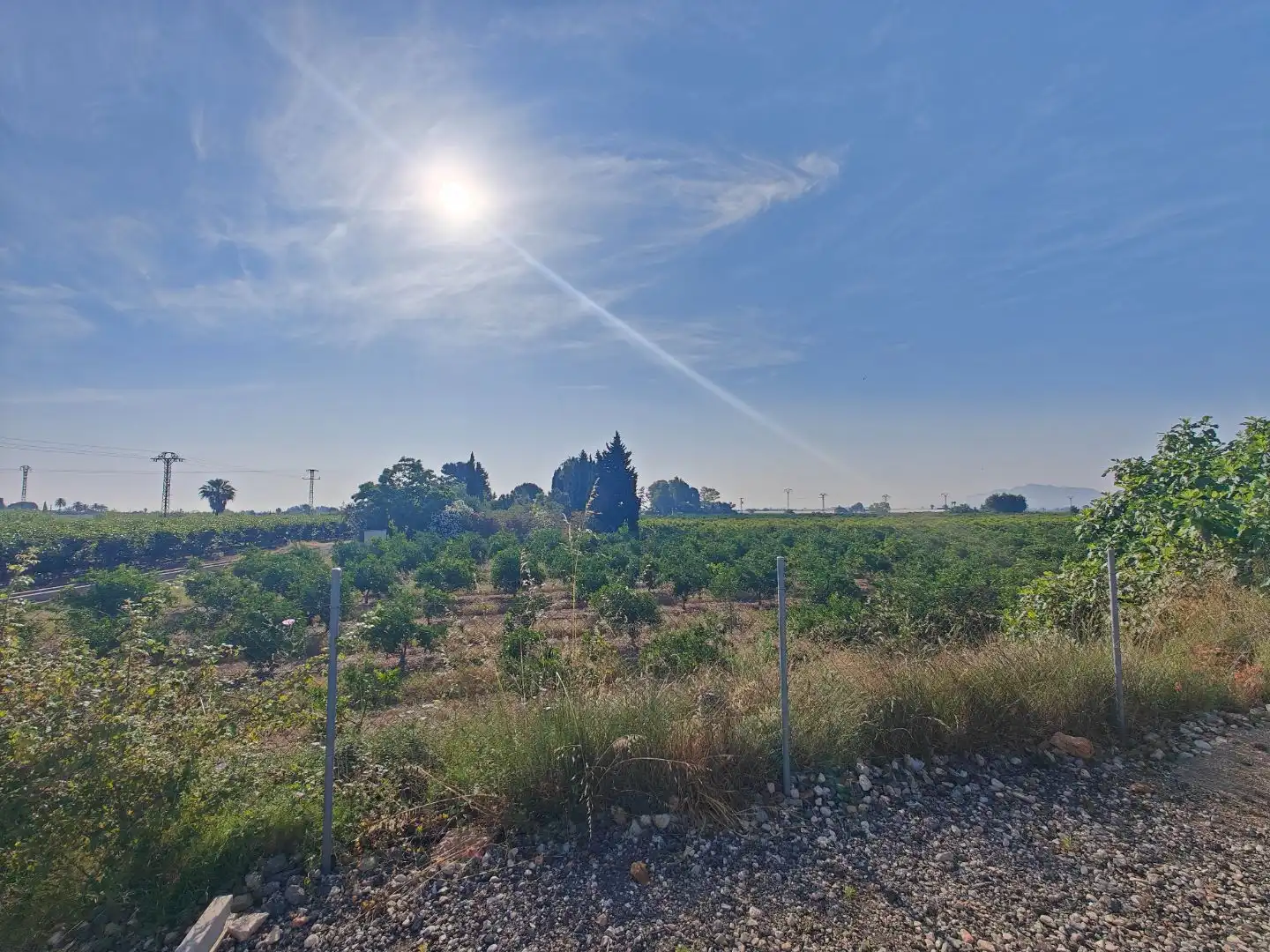 Finca rústica en venta en Algemesí con Aire acondicionado, Terraza y Piscina