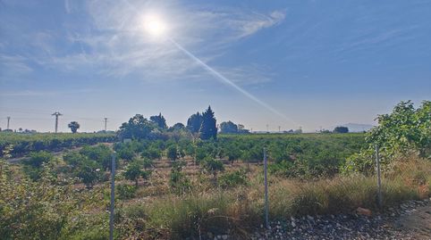Foto 5 de Finca rústica en venta en Algemesí, Valencia