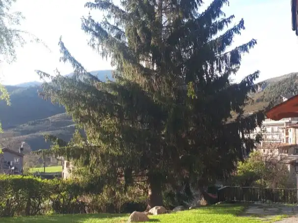 Flat for sale in Camí Ral, 37, Bellver de Cerdanya Flat for sale in Bellver de Cerdanya with Balcony