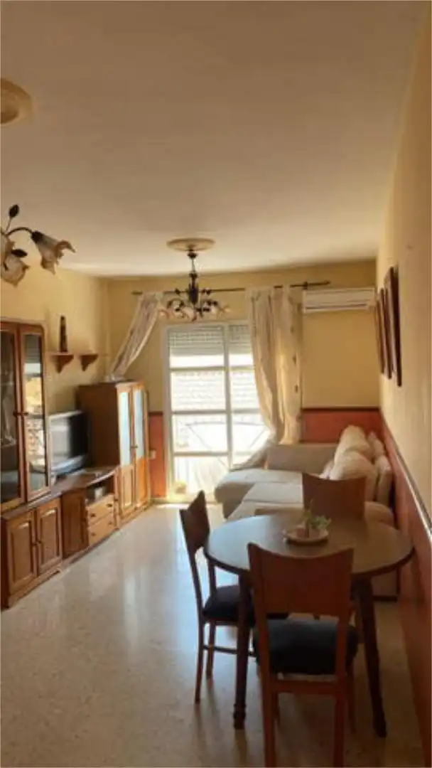 Sala de estar de Piso de alquiler en Campillos con Terraza