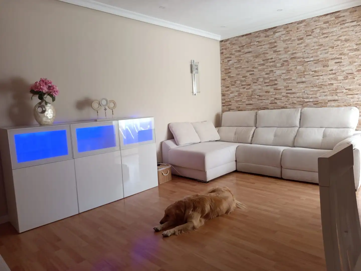 Sala d'estar de Pis en venda en San Fernando amb Aire condicionat, Calefacció i Jardí privat