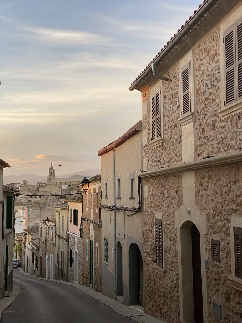 Exterior view of Detached homes for sale in Llubí  with Air Conditioner, Heating and Terrace