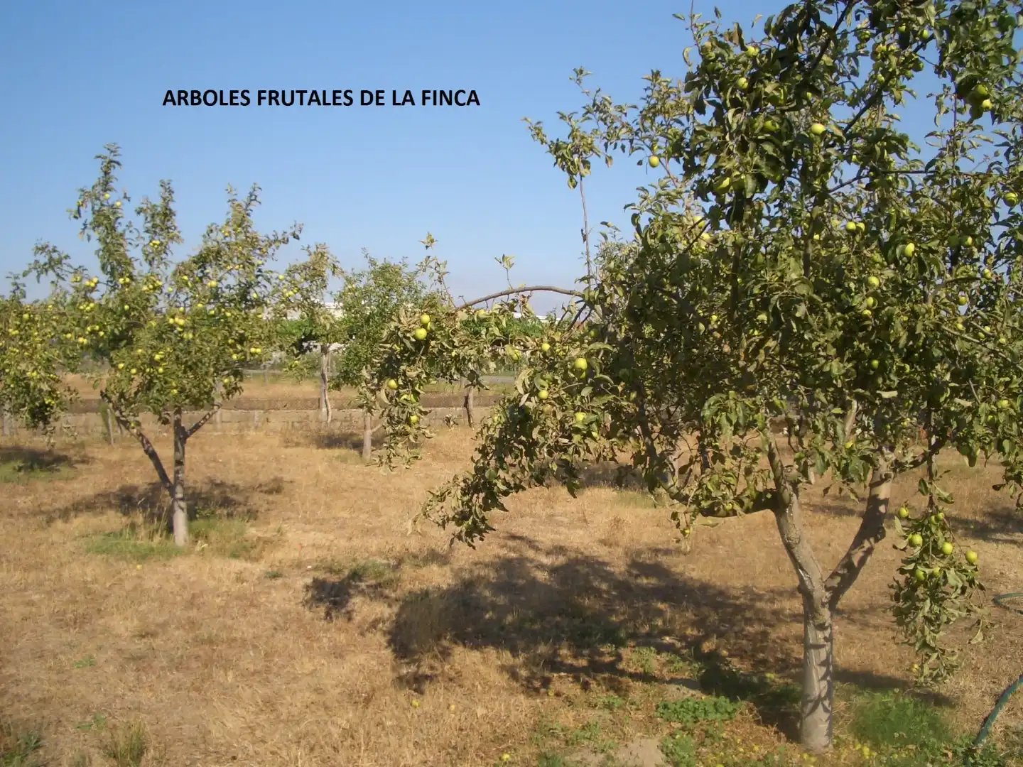 Flat for sale in Estrada, 68, Xinzo de Limia Flat for sale in Xinzo de Limia with Heating, Private garden and Terrace