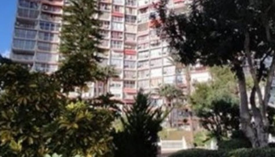 Pis de lloguer a Avenida de París, 12, Rincón Alto, Benidorm - imatge 1 Foto 1 de Pis de lloguer a Avenida de París, 12, Rincón Alto, Benidorm