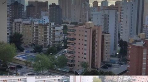 Pis de lloguer a Avenida de París, 12, Rincón Alto, Benidorm - imatge 2 Foto 2 de Pis de lloguer a Avenida de París, 12, Rincón Alto, Benidorm