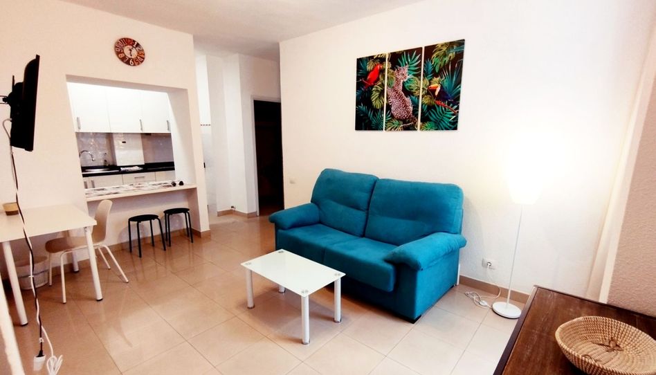 Piso en venta en Calle Néstor de la Torre, 28, Alcaravaneras, Las Palmas de Gran Canaria - imagen 1 Foto 1 de Piso en venta en Calle Néstor de la Torre, 28, Alcaravaneras, Las Palmas de Gran Canaria