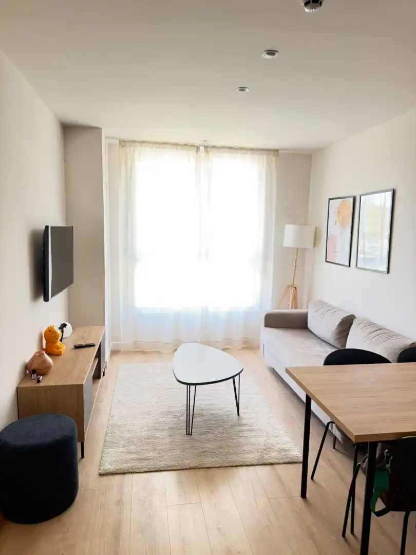 Flat for rent in Calle del Cubo, 16, Casco Viejo Living room of Flat for rent in Vitoria - Gasteiz with Air Conditioner