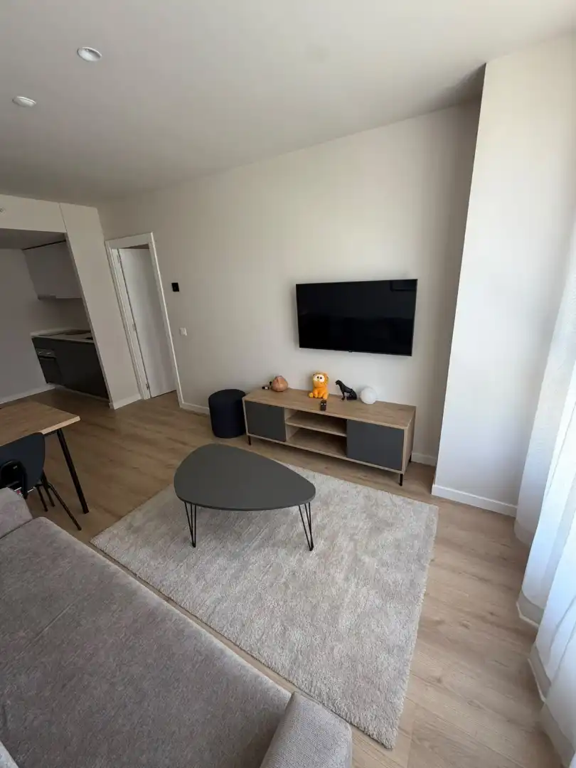 Flat for rent in Calle del Cubo, 16, Casco Viejo Living room of Flat for rent in Vitoria - Gasteiz with Air Conditioner