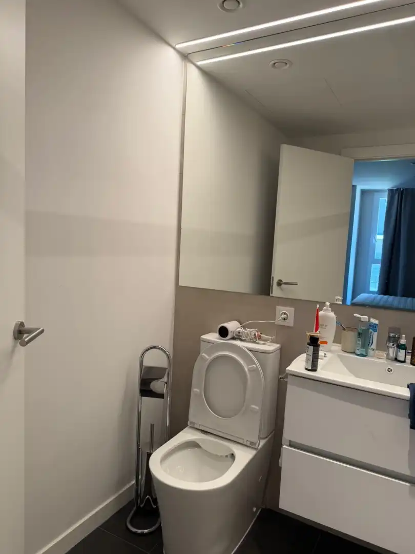 Flat for rent in Calle del Cubo, 16, Casco Viejo Bathroom of Flat for rent in Vitoria - Gasteiz with Air Conditioner