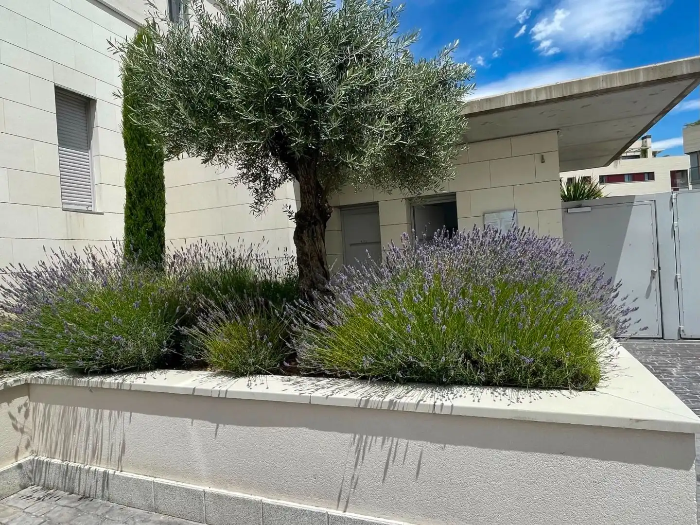 Pis en venda a Calle del Carril de Los Caleros, 8, Aravaca Vista exterior de Pis en venda en Madrid Capital amb Aire condicionat, Terrassa i Piscina