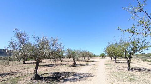 Finca rústica en venda a Vial Camino, 1546, Caudete, Albacete - imatge 2 Foto 2 de Finca rústica en venda a Vial Camino, 1546, Caudete, Albacete