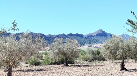 Finca rústica en venda a Vial Camino, 1546, Caudete, Albacete - imatge 3 Foto 3 de Finca rústica en venda a Vial Camino, 1546, Caudete, Albacete