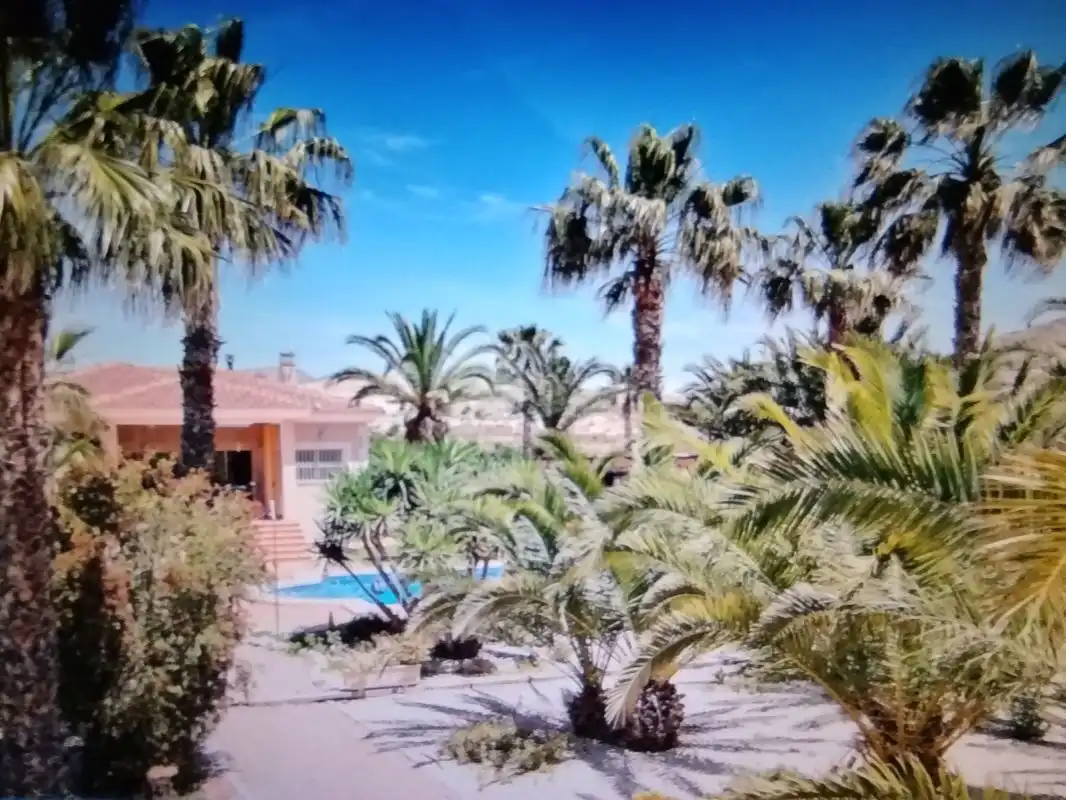 Casa o chalet en venta en Partida Tolomo, 28, Hondón de las Nieves / El Fondó de les Neus Vista exterior de Casa o chalet en venta en Hondón de las Nieves / El Fondó de les Neus con Aire acondicionado, Calefacción y Jardín privado