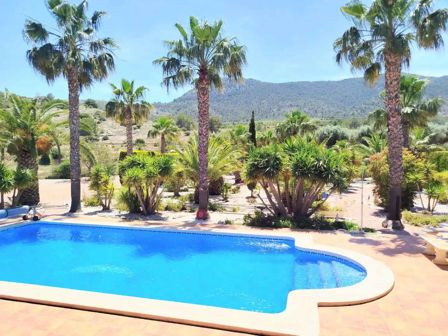 Casa o chalet en venta en Partida Tolomo, 28, Hondón de las Nieves / El Fondó de les Neus Piscina de Casa o chalet en venta en Hondón de las Nieves / El Fondó de les Neus con Aire acondicionado, Calefacción y Jardín privado