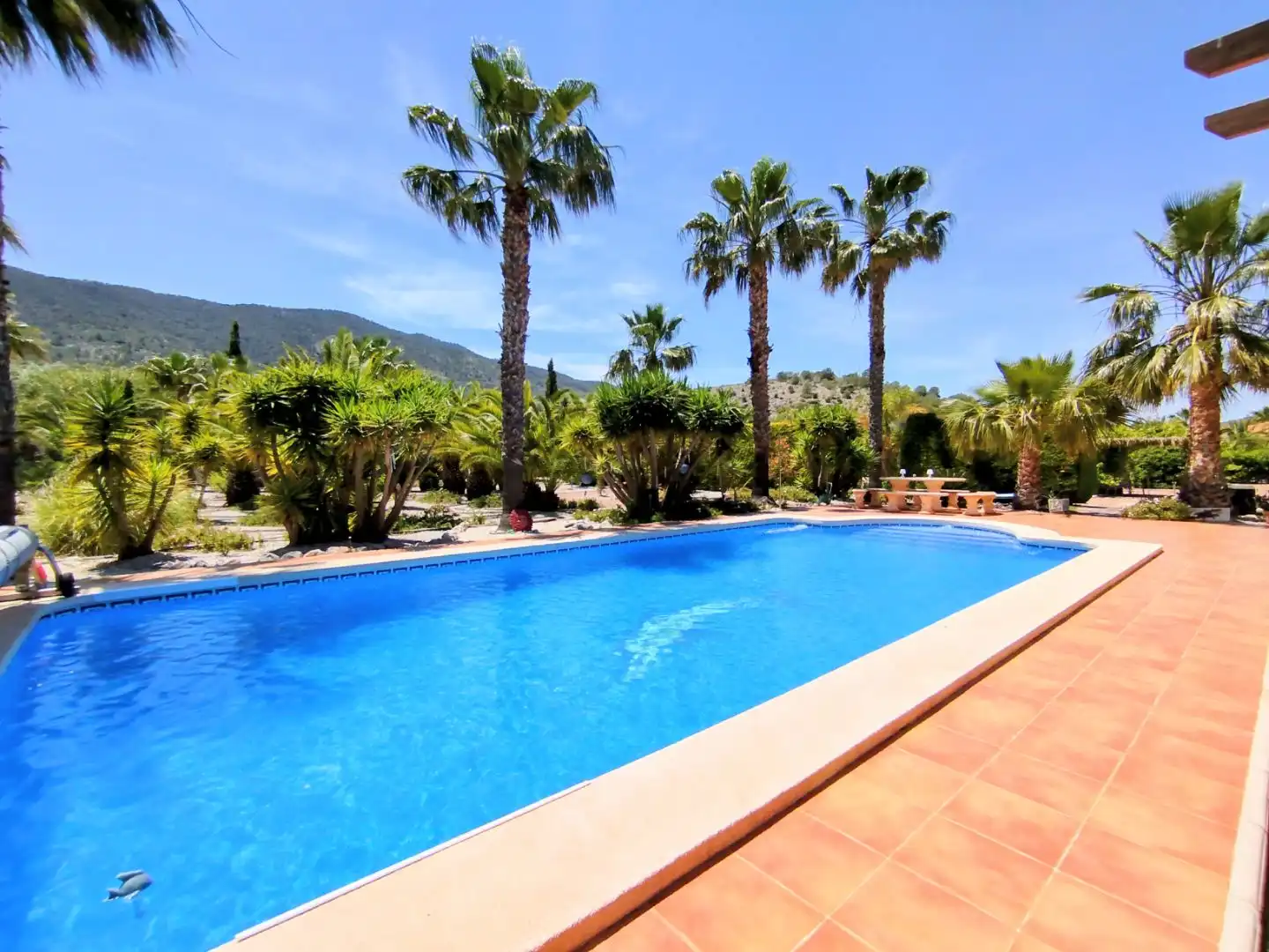 Casa o chalet en venta en Partida Tolomo, 28, Hondón de las Nieves / El Fondó de les Neus Piscina de Casa o chalet en venta en Hondón de las Nieves / El Fondó de les Neus con Aire acondicionado, Calefacción y Jardín privado