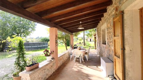 Finca rústica en venda a Ma-3130, 32, Sineu, Illes Balears - imatge 4 Foto 4 de Finca rústica en venda a Ma-3130, 32, Sineu, Illes Balears