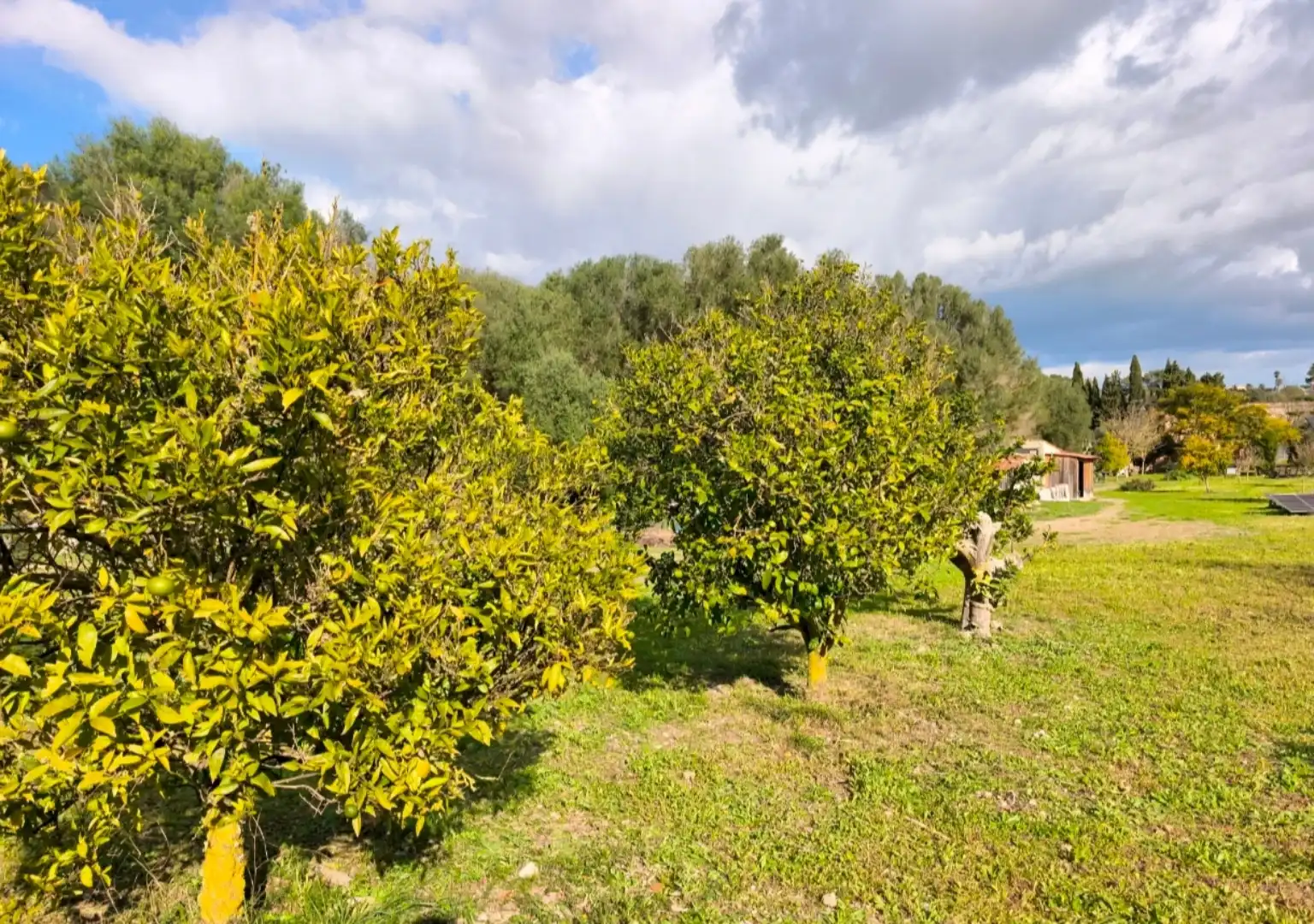 Finca rústica en venta en Ma-3130, 32, Sineu Finca rústica en venta en Sineu con Terraza