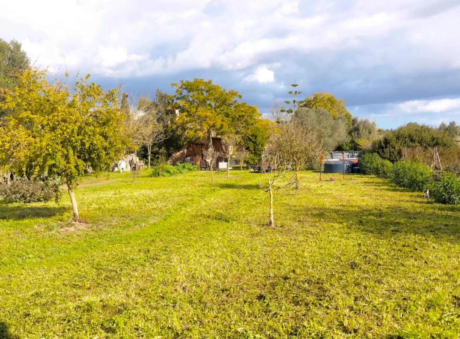 Finca rústica en venta en Ma-3130, 32, Sineu Finca rústica en venta en Sineu con Terraza