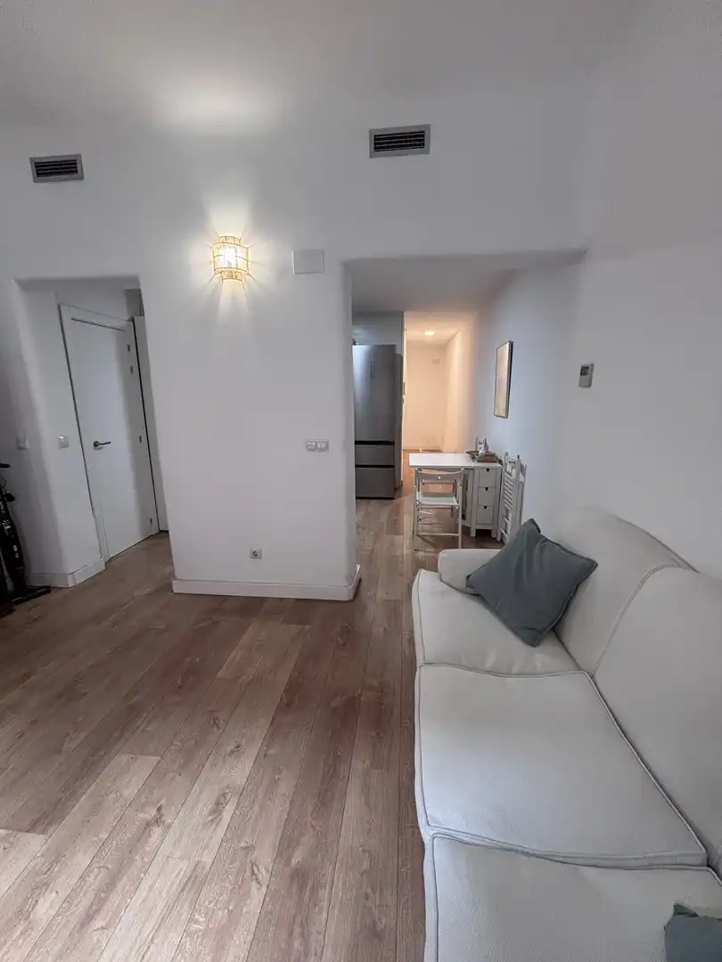 Flat for rent in Calle de Claudio Coello, 109, Castellana Living room of Flat for rent in Madrid with Air Conditioner, Heating and Parquet flooring