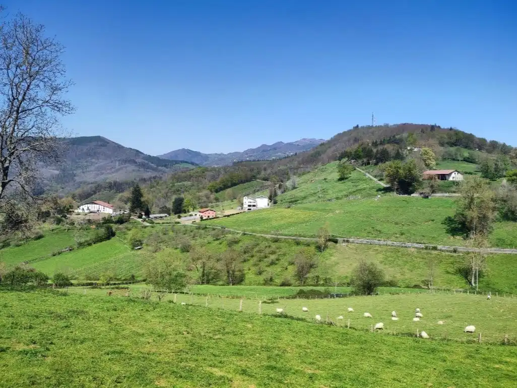 Piso en venta en Zuaznabar Aldea Barreiatua, 26, Altzo Vista exterior de Piso en venta en Altzo con Calefacción, Jardín privado y Parquet