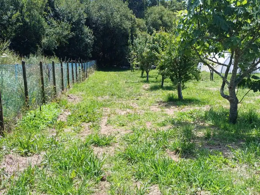 Finca rústica en venda a Rúa Regendo, 2, Dorneda Finca rústica en venda en Oleiros amb Moblat