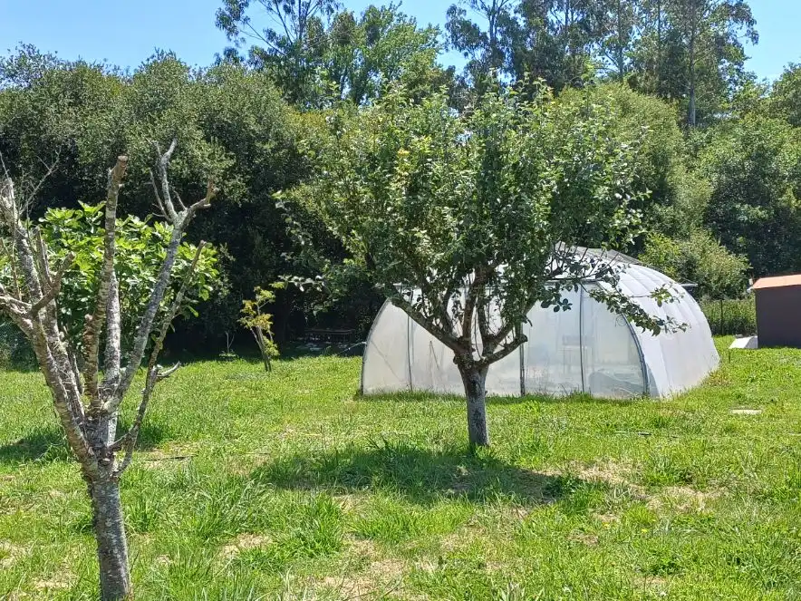 Finca rústica en venda a Rúa Regendo, 2, Dorneda Jardí de Finca rústica en venda en Oleiros amb Moblat