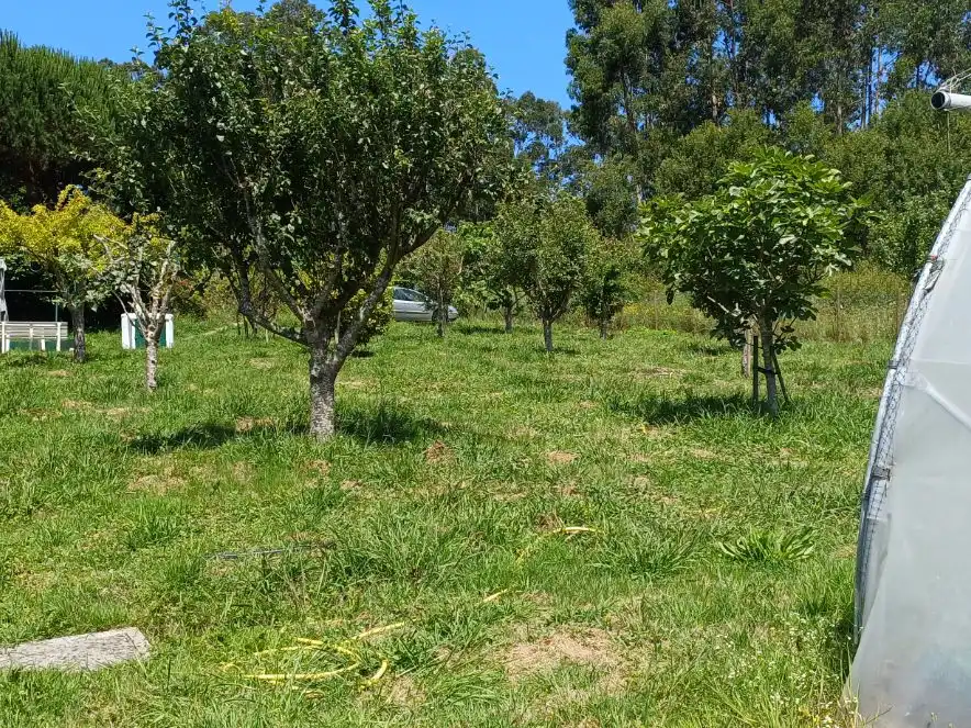 Finca rústica en venda a Rúa Regendo, 2, Dorneda Finca rústica en venda en Oleiros amb Moblat