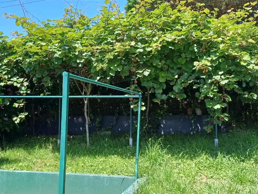 Finca rústica en venda a Rúa Regendo, 2, Dorneda Jardí de Finca rústica en venda en Oleiros amb Moblat