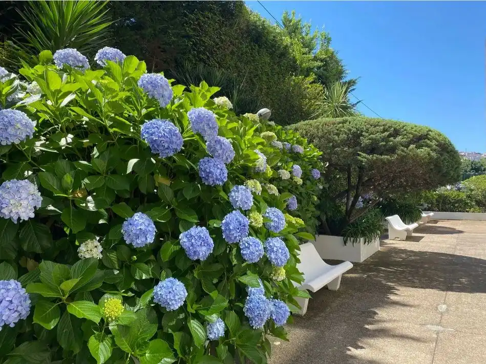 Apartments for sale in Rúa de Julia Minguillón, 4, Centro - Areal Garden of Apartments for sale in Vigo with Heating, Private garden and Parquet flooring