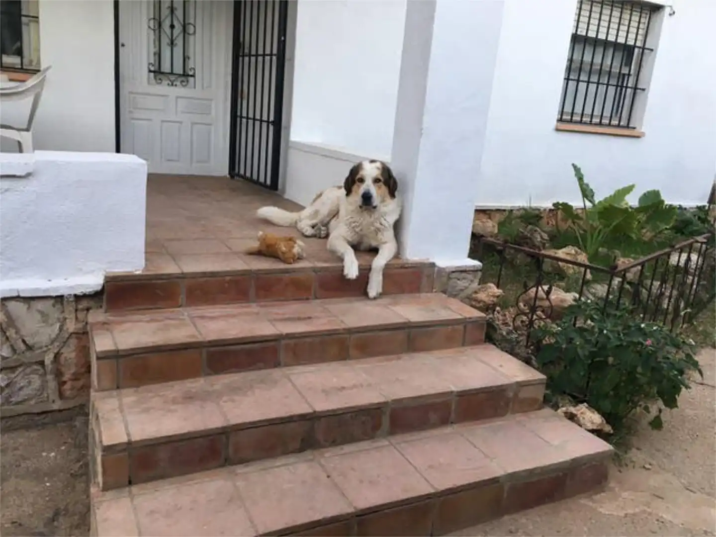 Habitación en El Alborgí