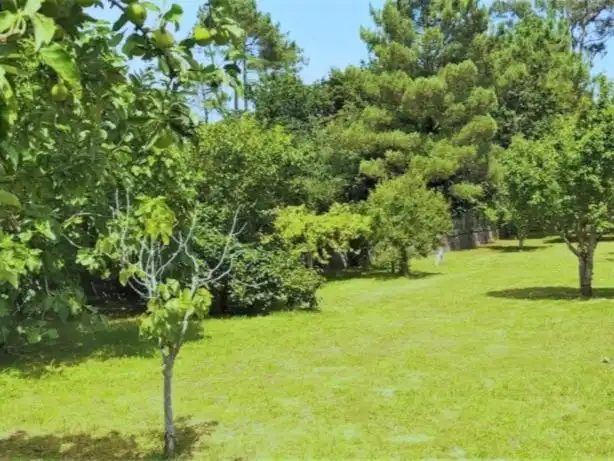 Casa o chalet en venta en AC-550, 6, Noia Casa o chalet en venta en Noia con Calefacción, Jardín privado y Parquet