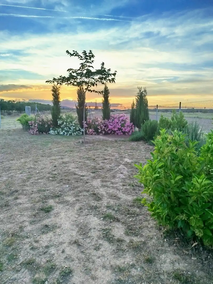 Land for sale in Avenida Zaragoza, Centro Land for sale in Tudela
