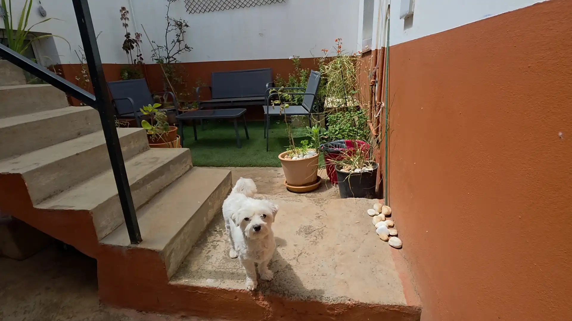 Study for rent in Calle Geranio, 3, El Tablero Study for rent in Calle Geranio, 3, El Tablero